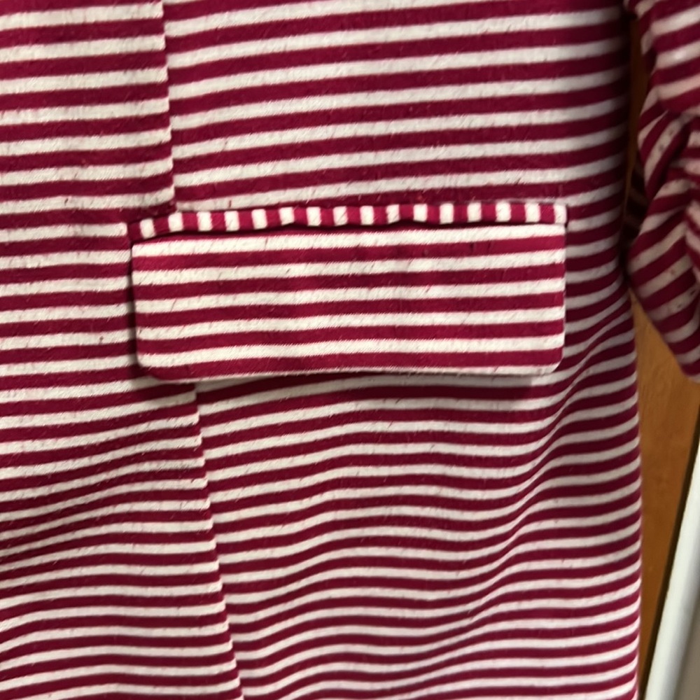 Striped Blazer - Picture 3 of 5
